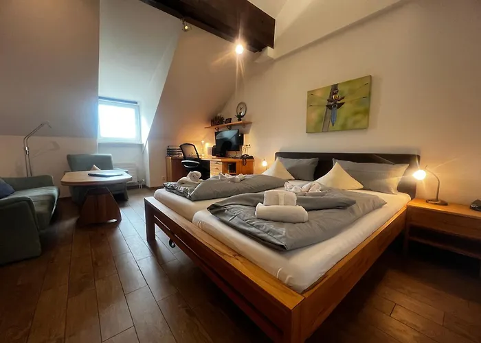 Schloss - & Wellnessanlage Lejlighedshotel 3*